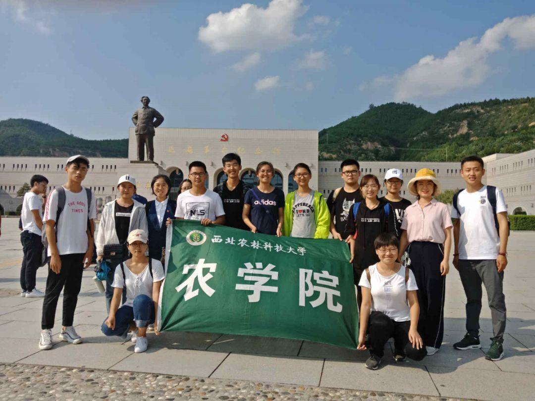 冒险的布瑞恩